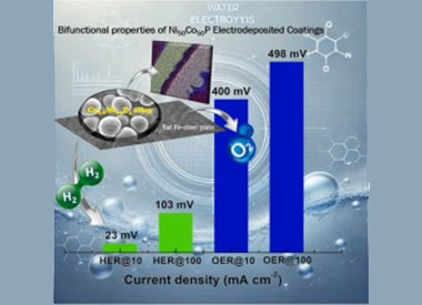 Evaluating the bifunctional properties towards HER and OER of NiCo electrodeposited coatings: Combined influence of support, Ni/Co ratio, and phosphorus doping